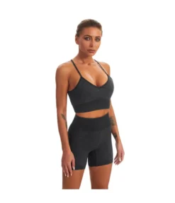 Seamless Sports Yoga Wholesale Activewear Fitness Suits Two Piece Outfits Vest & Shorts Sets SO230160
