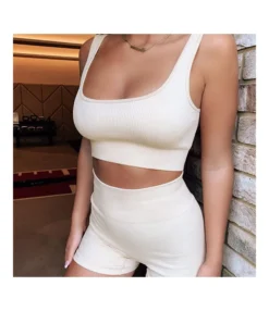 Plain Seamless Ribbed Fitness Yoga Gym Suits Sports Bras & Shorts Womens 2 Piece Sets Activewear Wholesale Workout Clothes SO531364