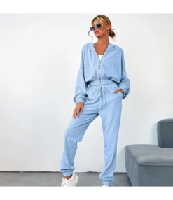 Fashion Thin Velvet Golden Velvet Texture Zipper Hooded Sweatshirt And Pants Set Wholesale Activewear Sets V5923032800074