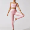 Women Plain Color Sports Crop Tops Yoga Pants Wholesale Two Piece Sets SON580303